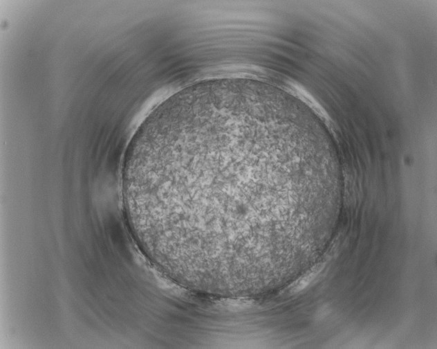 X0000078240994200611251234