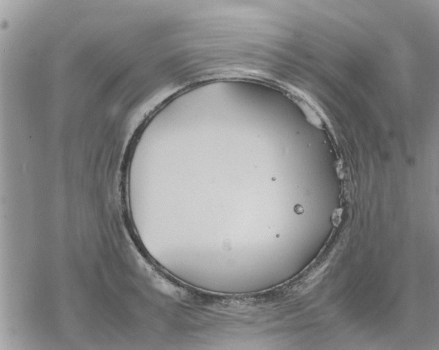 X0000078240995200611251234