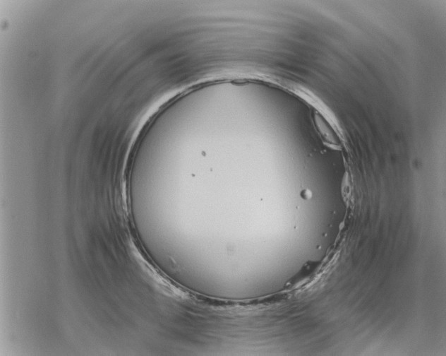 X0000078240996200611251234