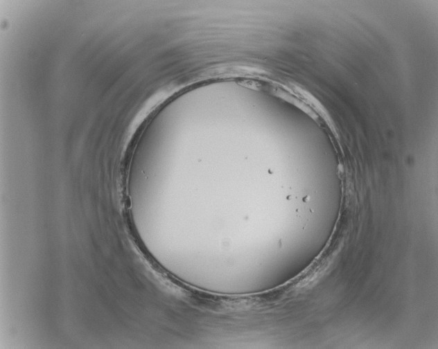 X0000078240997200611251234