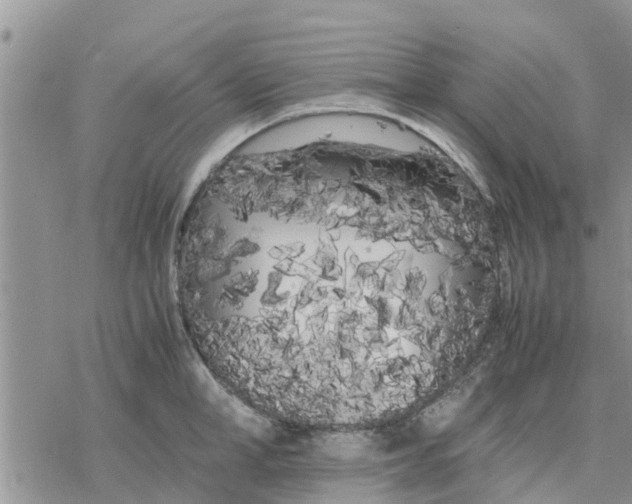 X0000078240998200611251234