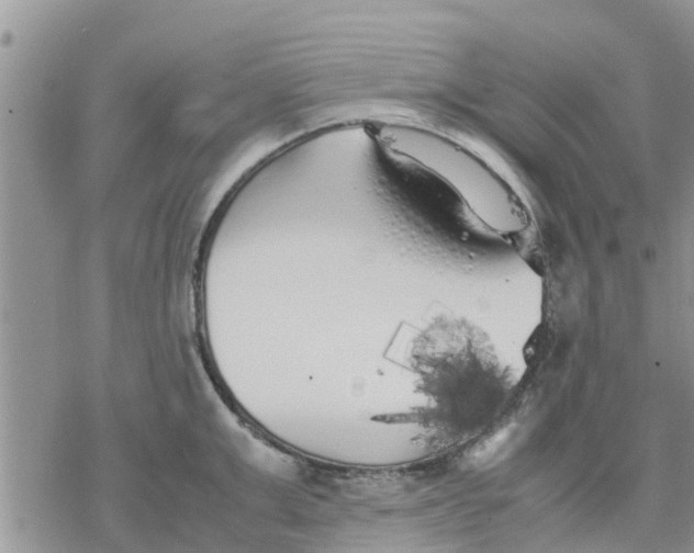 X0000078240999200611251234