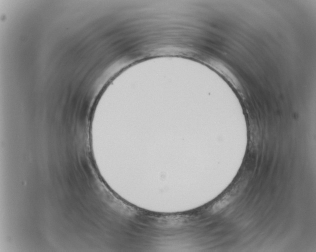 X0000078241000200611251234