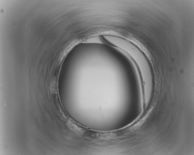 X0000078241001200611251234