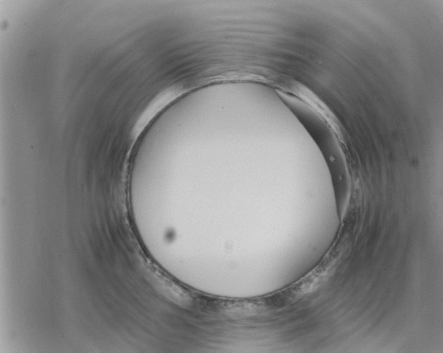 X0000078241002200611251234