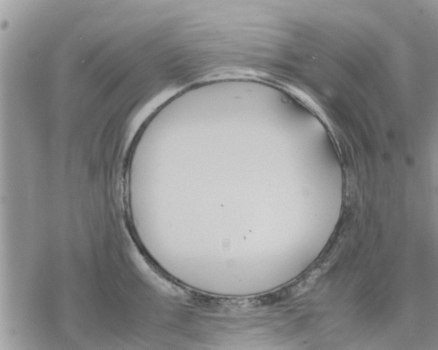 X0000078241003200611251234