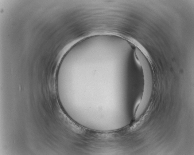 X0000078241004200611251234