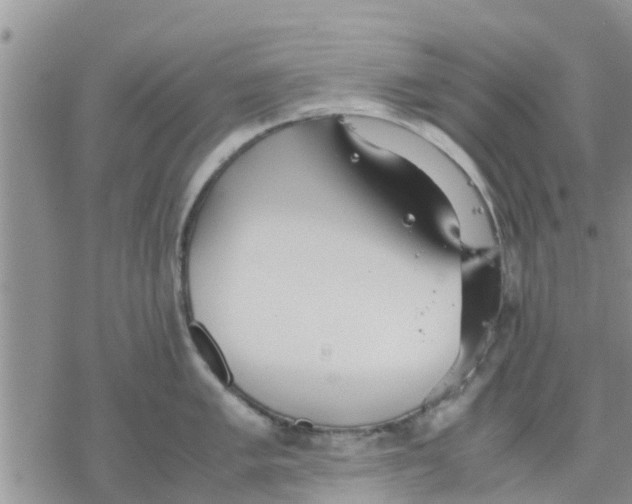 X0000078241005200611251234