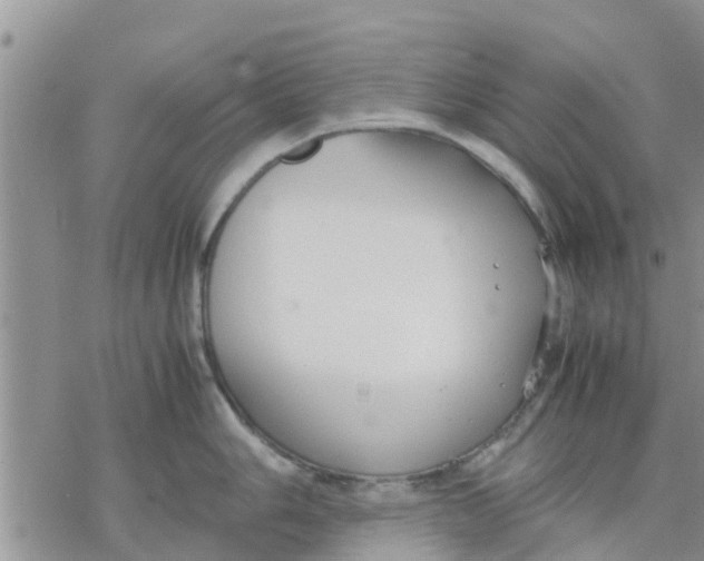 X0000078241006200611251234