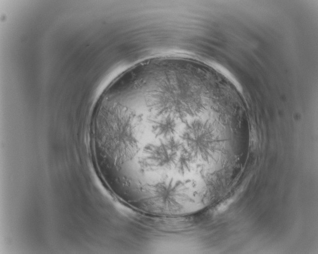 X0000078241007200611251234