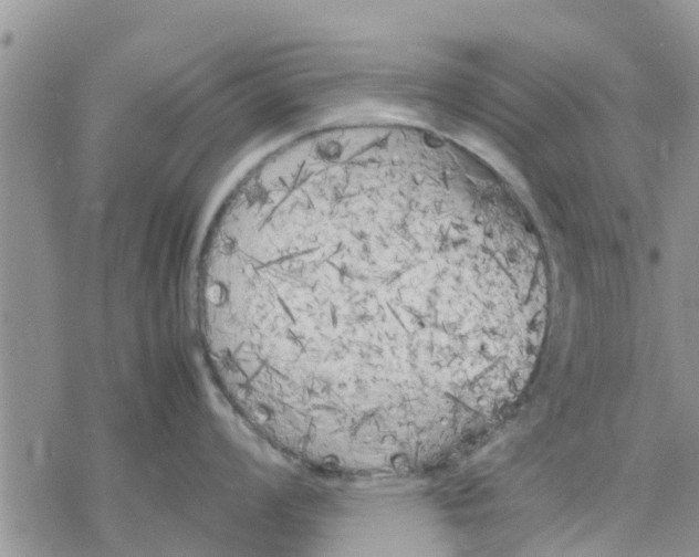 X0000078241008200611251234