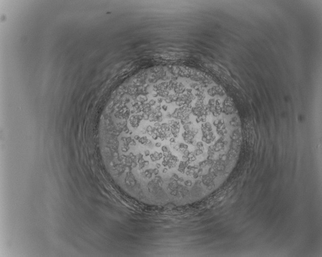 X0000078241009200611251233