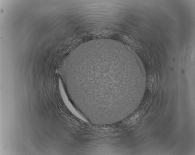 X0000078241010200611251233