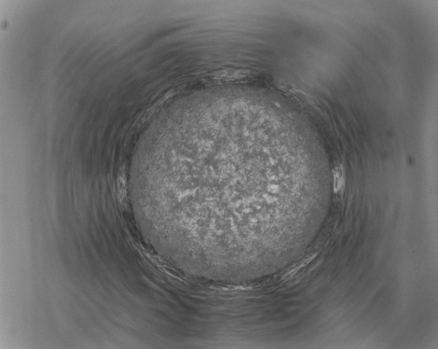 X0000078241011200611251233