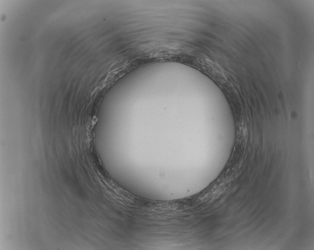 X0000078241012200611251233