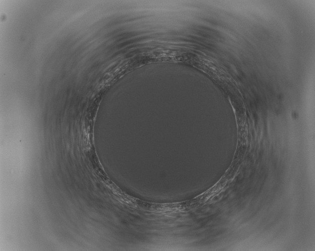 X0000078241013200611251233