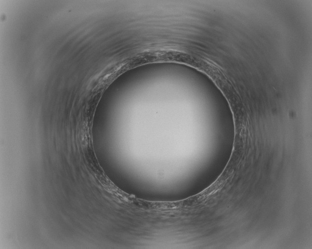 X0000078241014200611251233