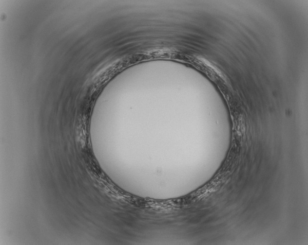 X0000078241015200611251233