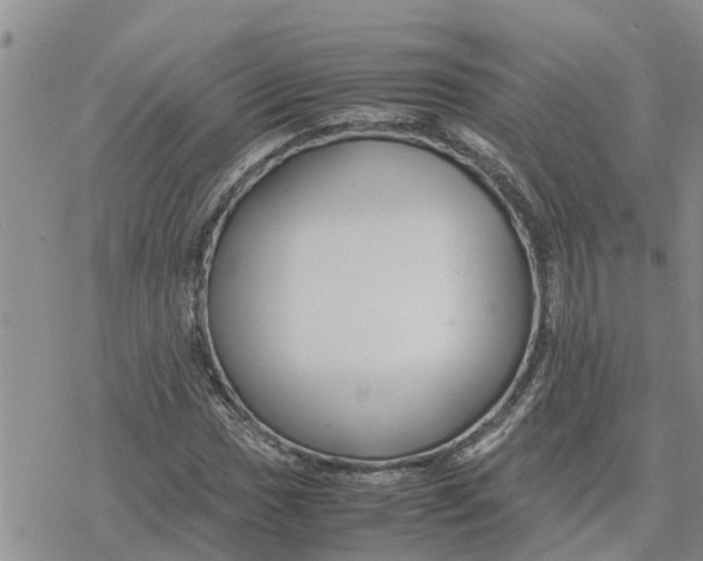 X0000078241017200611251233