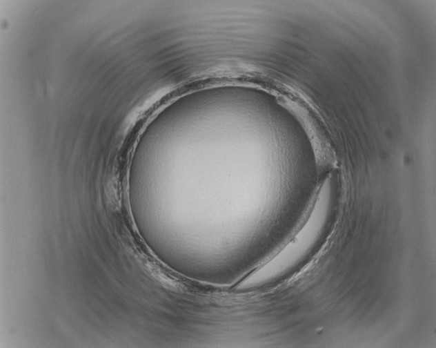 X0000078241018200611251233