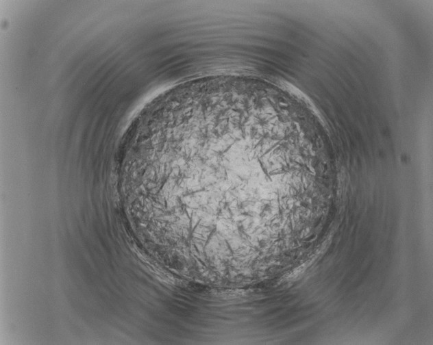 X0000078241019200611251233