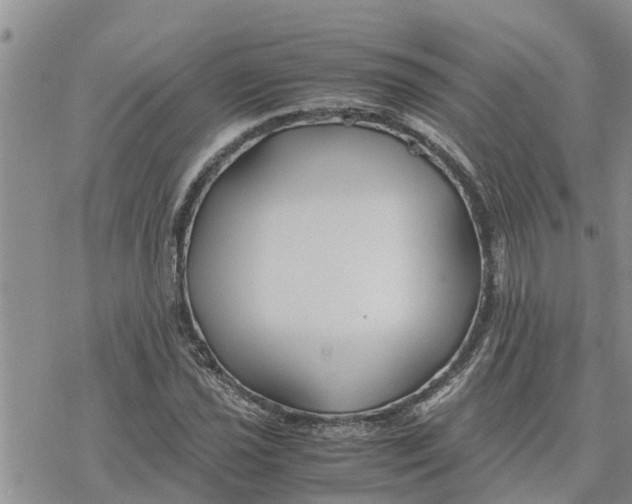 X0000078241021200611251233