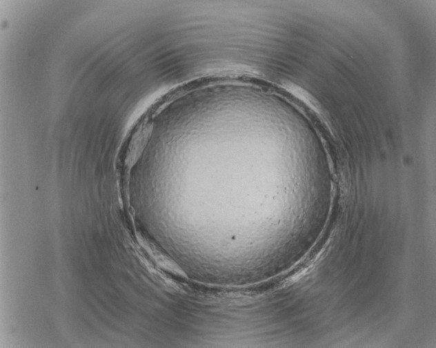 X0000078241022200611251233