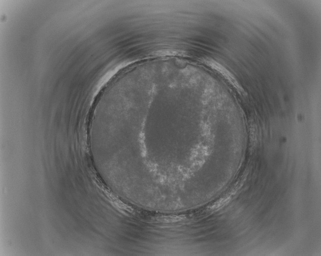 X0000078241023200611251233