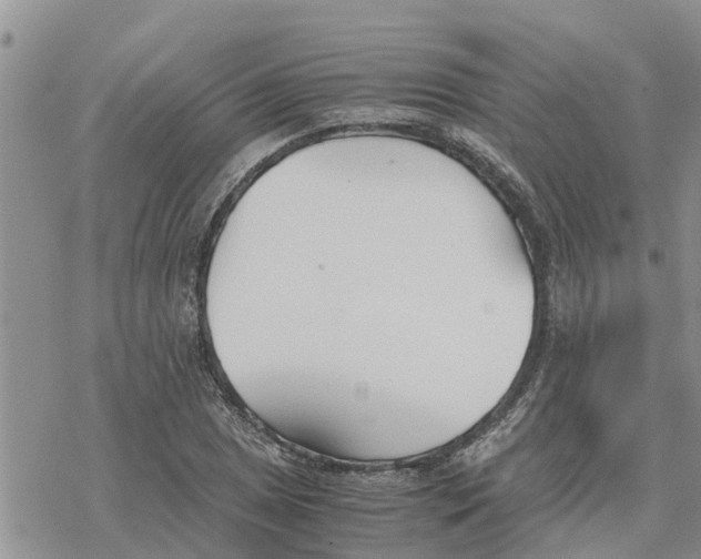 X0000078241025200611251233