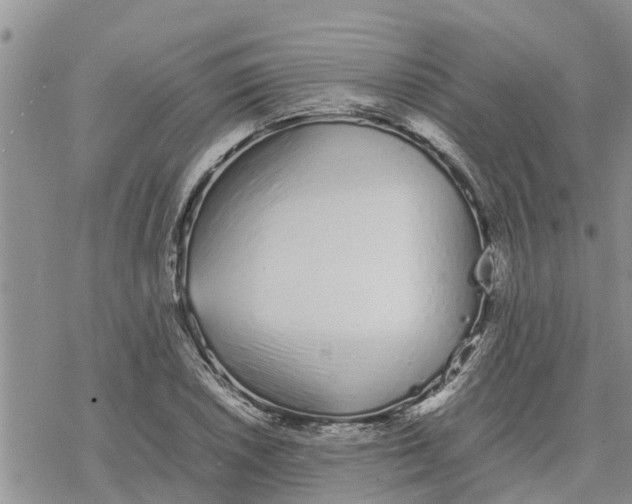 X0000078241026200611251233