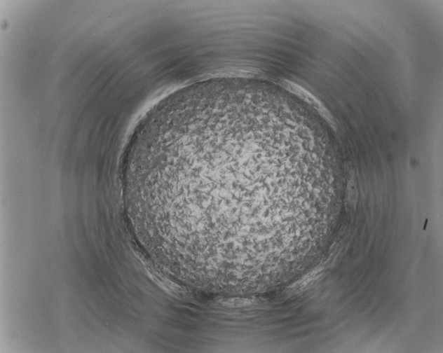 X0000078241027200611251233