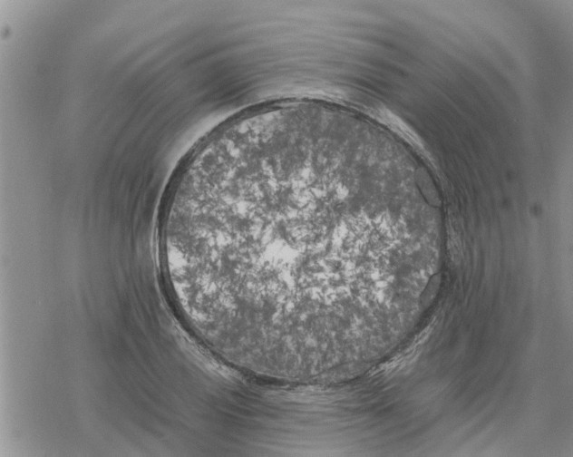 X0000078241028200611251234