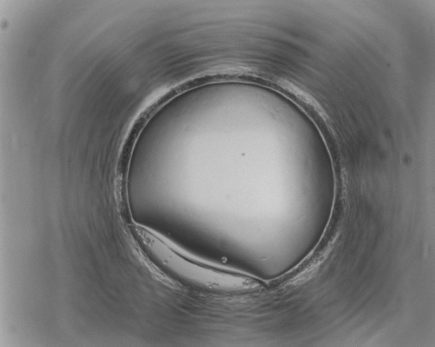 X0000078241029200611251234