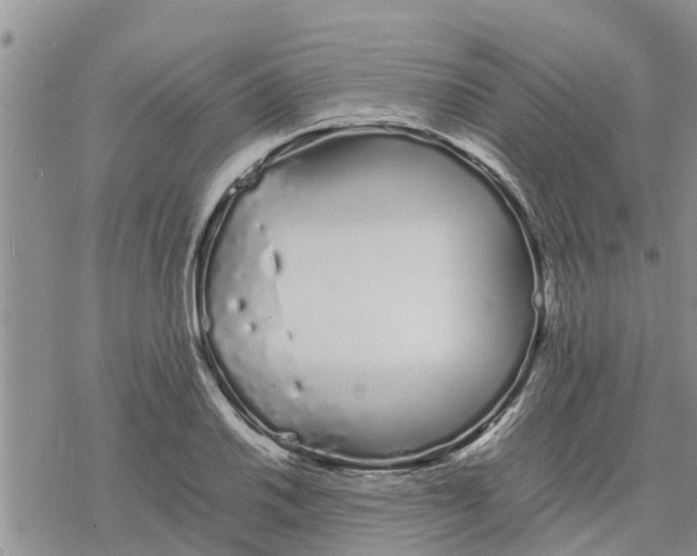 X0000078241030200611251234