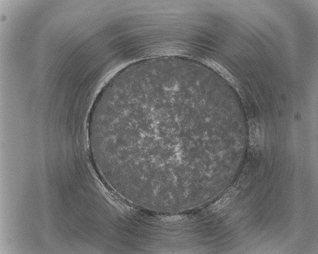 X0000078241031200611251234