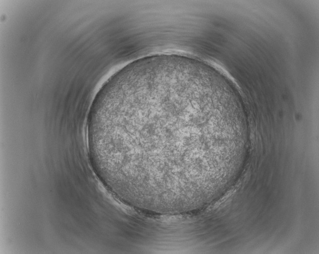 X0000078241032200611251234