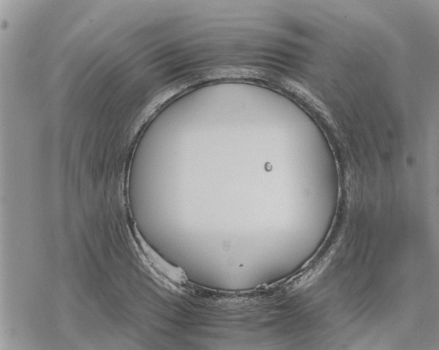 X0000078241033200611251234