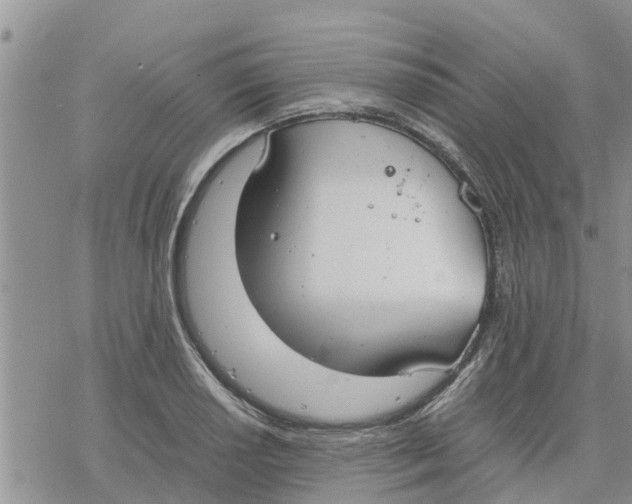 X0000078241034200611251234