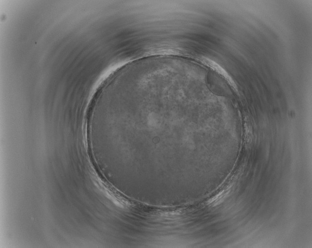 X0000078241035200611251234