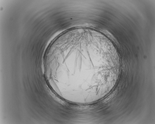 X0000078241036200611251234