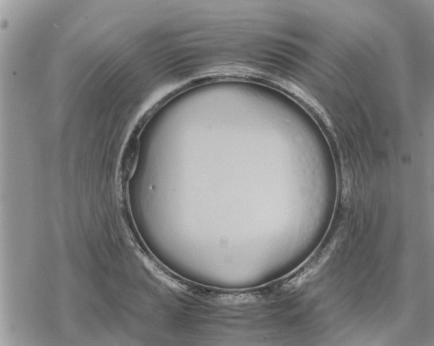 X0000078241037200611251234