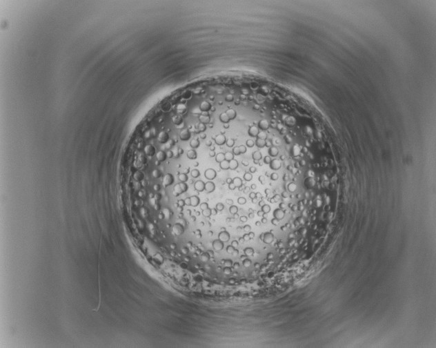 X0000078241038200611251234