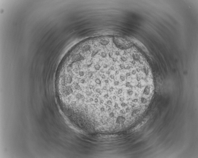 X0000078241039200611251234