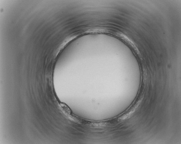 X0000078241041200611251234