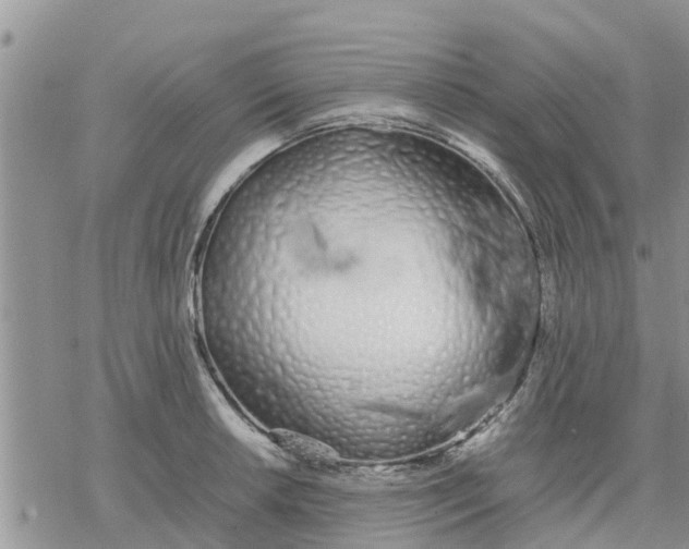 X0000078241042200611251234