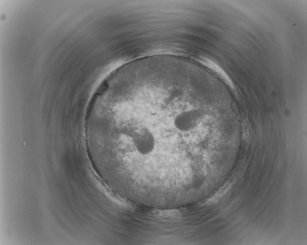 X0000078241043200611251234