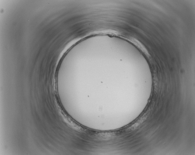 X0000078241044200611251234