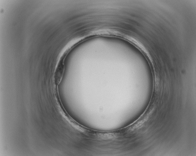 X0000078241045200611251234