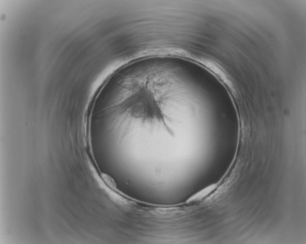 X0000078241046200611251234