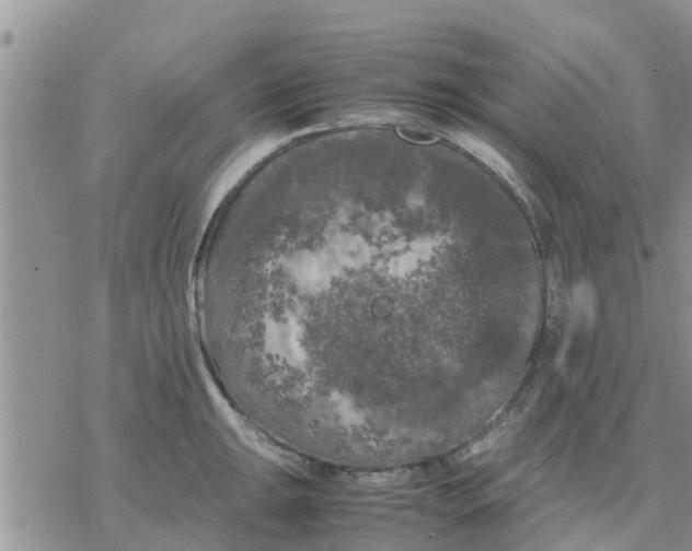 X0000078241047200611251234